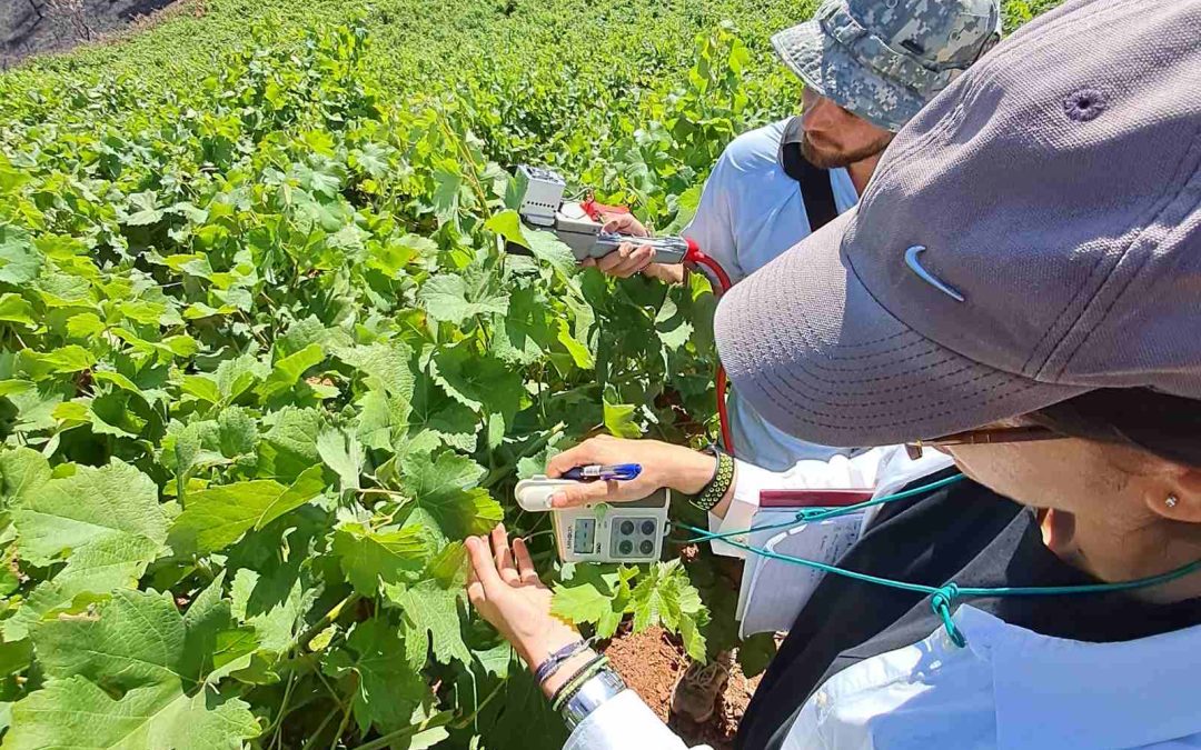 Υλοποίηση Ά Φάσης