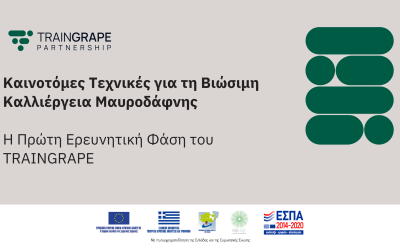 Innovative Techniques for Sustainable Mavrodaphne Cultivation: The First Research Phase of TRAINGRAPE