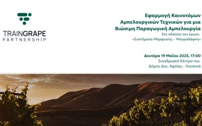 Ενημερωτική εκδήλωση: Εφαρμογή Καινοτόμων Αμπελουργικών Τεχνικών για μια Βιώσιμη Παραγωγική Αμπελουργία